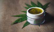 Everything You Need To Know Before Shopping For CBD: A Guide For Health Conscious Consumers