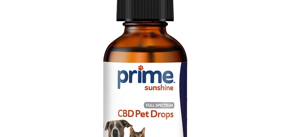 CBD Oil For Dogs: Dosage and Administration Tips