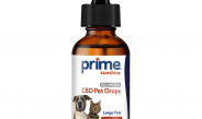 CBD Oil For Dogs: Dosage and Administration Tips