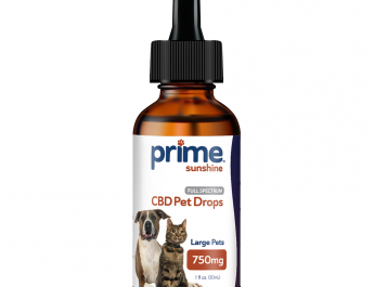 CBD Oil For Dogs: Dosage and Administration Tips