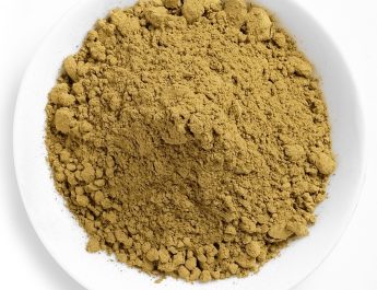 The Unique Allure Of Red Malay Kratom: Why It Stands Out Among Strains