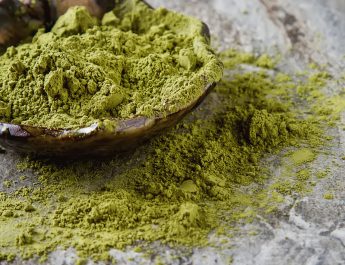 Guide To Finding Fresh And Potent Kratom Strains Online