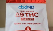 Choosing Delta-9 THC Gummies For Lasting Comfort: A Relaxing Journey to Wellness